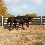 Гостевой дом Statek Dolni Sucha Chotyne