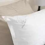 Гостевой дом Statek Dolni Sucha 3*