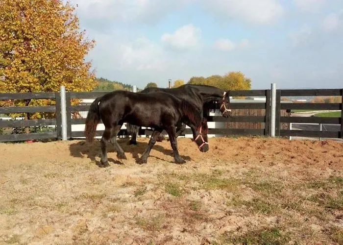 Pensionat Statek Dolni Sucha Chotyne