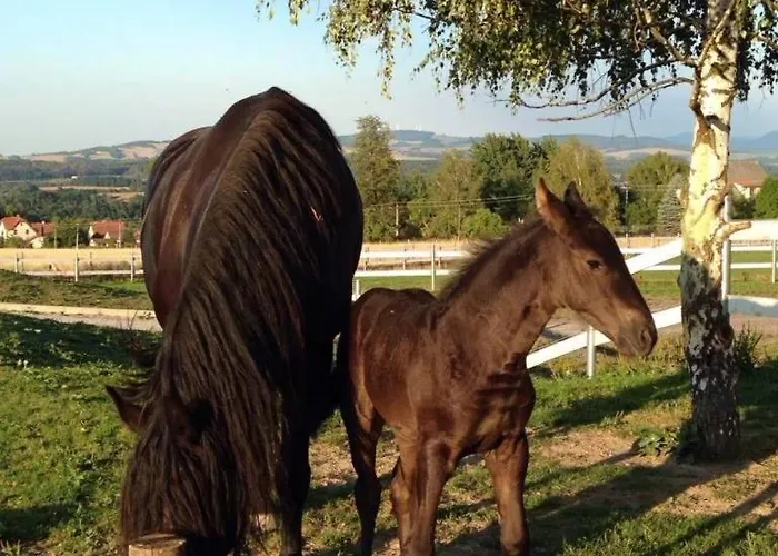 Statek Dolni Sucha Pensionat Chotyne