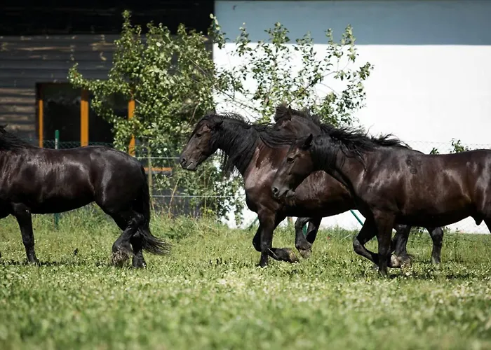 Statek Dolni Sucha Chotyne