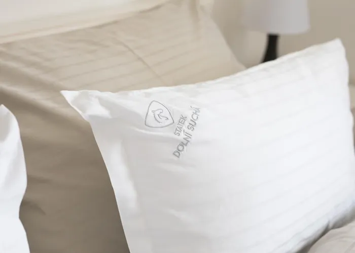 Pensionat Statek Dolni Sucha 3*